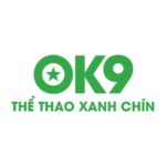 ok9viecom