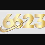 6623vnnet