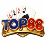 bitop888com1