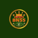 BN55