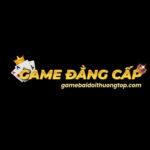 Gamebaidoigt2