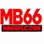 mb66flccom