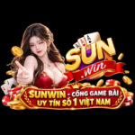 Sunwinrcom1