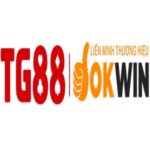 tg88agency