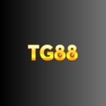 tg88linkcom