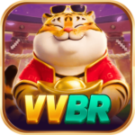 vvbr org